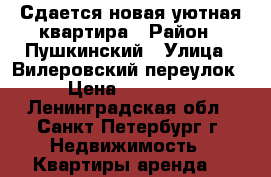 Сдается новая уютная квартира › Район ­ Пушкинский › Улица ­ Вилеровский переулок › Цена ­ 25 000 - Ленинградская обл., Санкт-Петербург г. Недвижимость » Квартиры аренда   